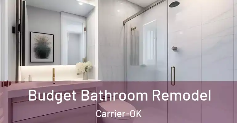 inner Bathroom imggen Budget Bathroom Remodel Carrier-OK