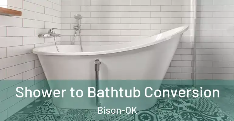 inner Bathroom imggen Shower to Bathtub Conversion Bison-OK