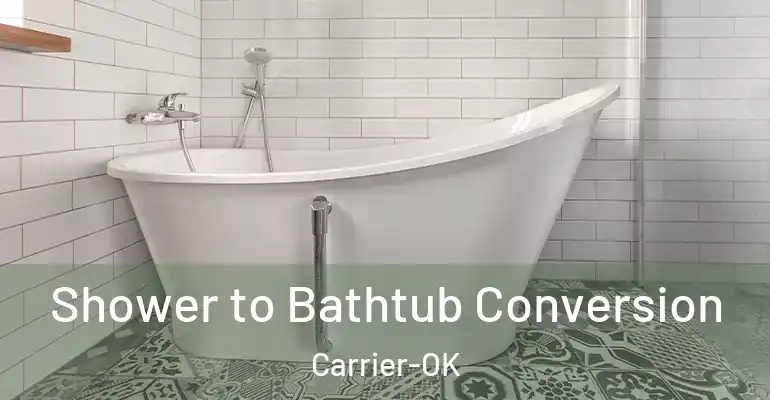 inner Bathroom imggen Shower to Bathtub Conversion Carrier-OK