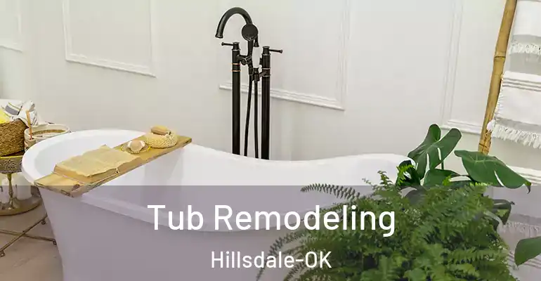 inner Bathroom imggen Tub Remodeling Hillsdale-OK