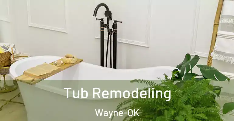 inner Bathroom imggen Tub Remodeling Wayne-OK
