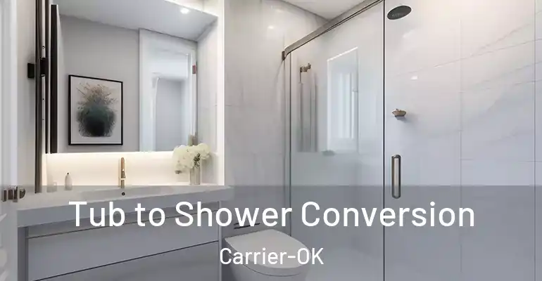 inner Bathroom imggen Tub to Shower Conversion Carrier-OK