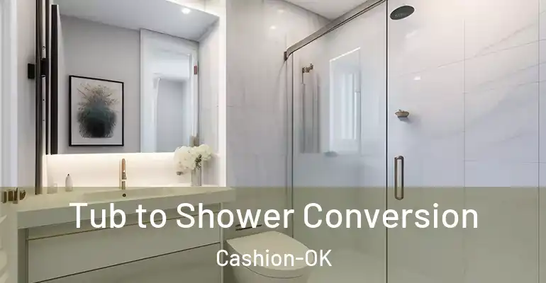 inner Bathroom imggen Tub to Shower Conversion Cashion-OK