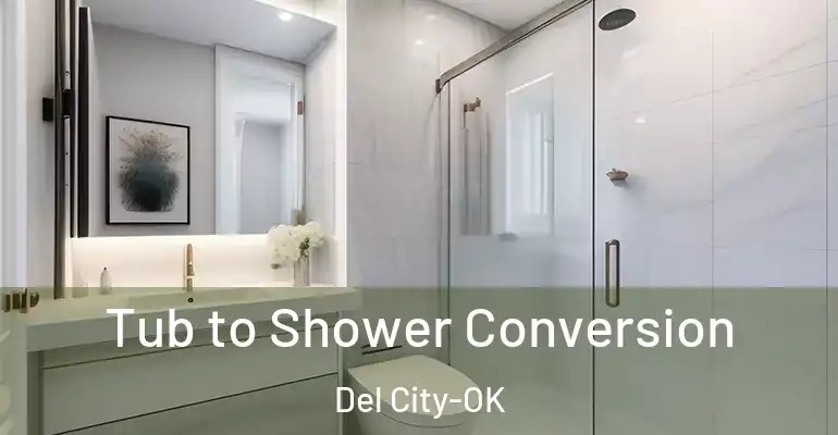 inner Bathroom imggen Tub to Shower Conversion Del City-OK
